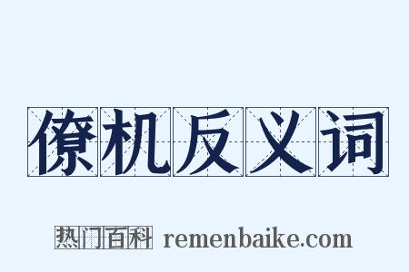 僚机反义词是什么意思的图片